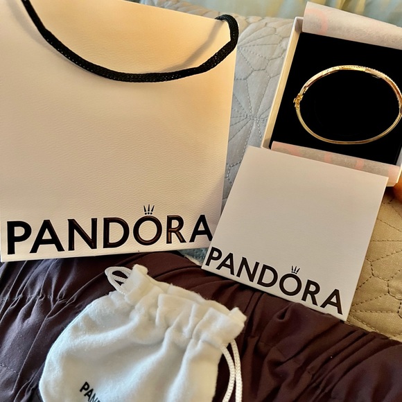 Brandnew Pandora Bag, Boxe and dust bag - Picture 3 of 5